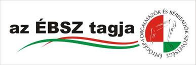 BSZ logo